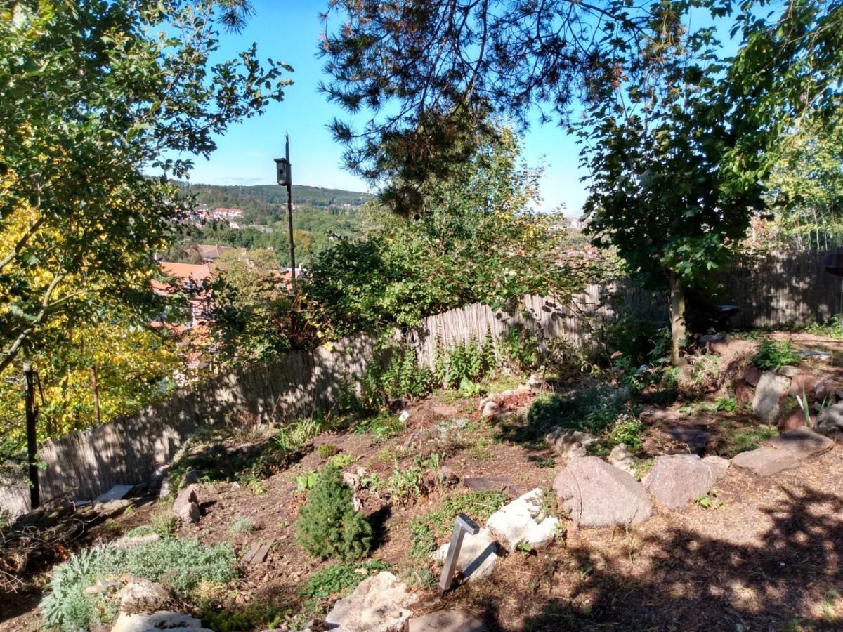 Natuerlich Kirchner Haus Katrin Villa Eisenach Bagian luar foto